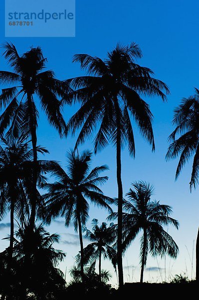 Südostasien  Asien  Indonesien  Lombok