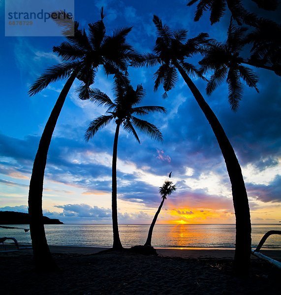 Sonnenuntergang  Baum  Silhouette  Südostasien  Asien  Indonesien  Lombok