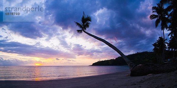 Tropisch  Tropen  subtropisch  Sonnenuntergang  Baum  Silhouette  Insel  Palme  Südostasien  Asien  Indonesien  Lombok  Paradies