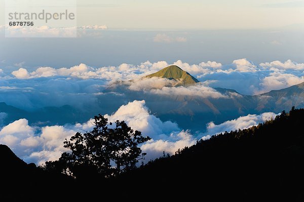 hoch  oben  Berg  nehmen  Wolke  über  aufwärts  Vulkan  Berggipfel  Gipfel  Spitze  Spitzen  Südostasien  Asien  Indonesien  Lombok