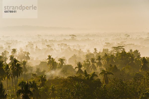 klar  Morgen  Sonnenaufgang  Dunst  früh  Südostasien  Asien  Borobudur  Indonesien  Java