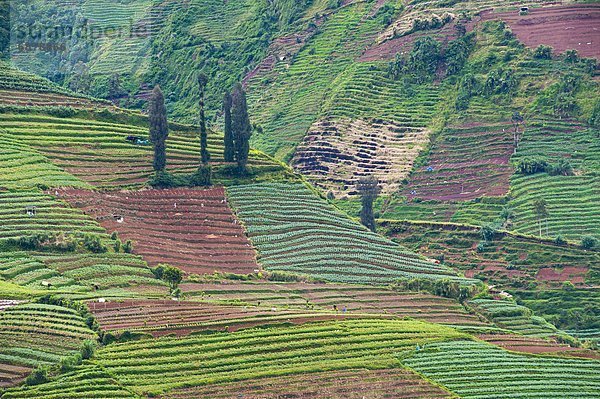 Südostasien  Asien  Indonesien