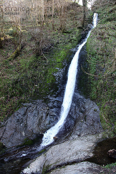 Europa  Ecke  Ecken  Großbritannien  Wahrzeichen  Wasserfall  groß  großes  großer  große  großen  Schlucht  Devon  England