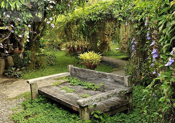 Garten Mond Gittermuster Gitter Serie Philippinen Südostasien Asien Reben