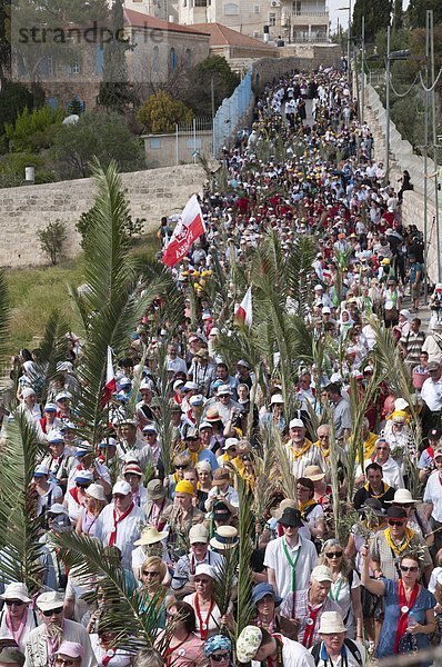 Jerusalem  Hauptstadt  Großstadt  Berg  Richtung  Olive  Naher Osten  Israel  alt  Prozession  Sonntag