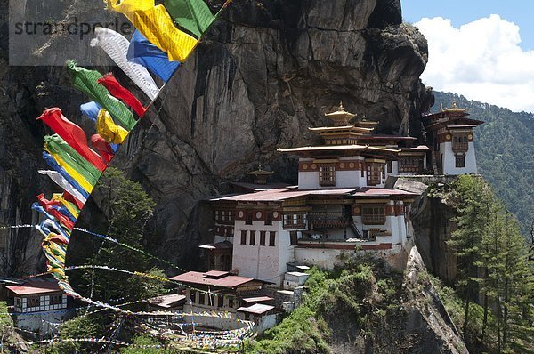 Steilküste  Fahne  Tiger  Panthera tigris  Asien  Bhutan  Kloster  Gebet