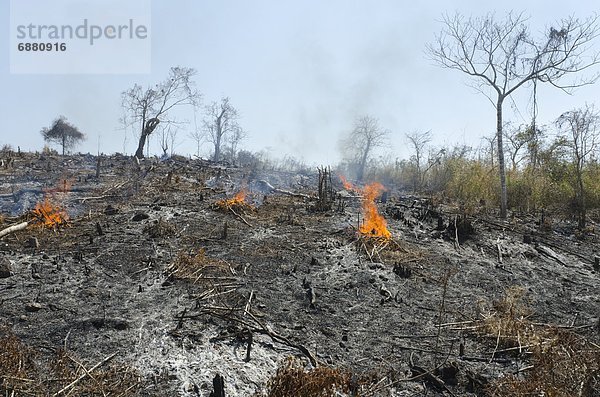 nebeneinander  neben  Seite an Seite  Hügel  Fernverkehrsstraße  verbrannt  Abholzung  Seitenansicht  Myanmar  Asien  Sonne