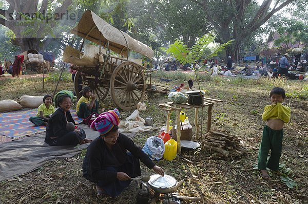 Bulle  Stier  Stiere  Bullen  kochen  Frau  Menschlicher Vater  Fuhrwerk  Ethnisches Erscheinungsbild  Myanmar  Asien  Shan Staat