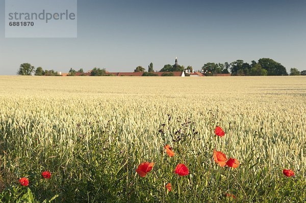 Europa  Ecke  Ecken  Palast  Schloß  Schlösser  Feld  Tschechische Republik  Tschechien  Weizen  Mohn