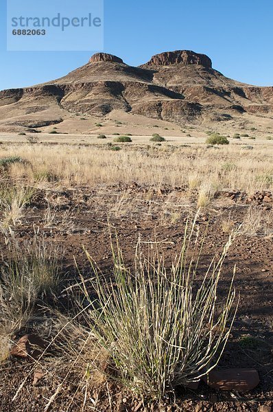 Huab Fluss Tal  Torra Conservancy  Damaraland  Namibia  Afrika