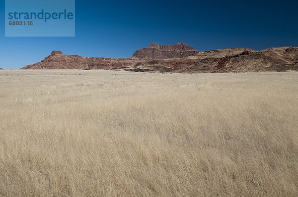 Huab Fluss Tal  Torra Conservancy  Damaraland  Namibia  Afrika