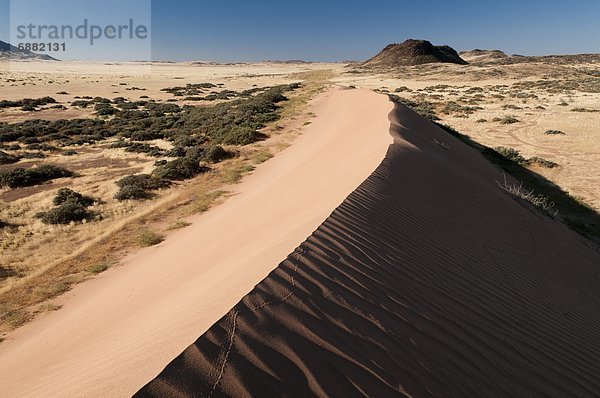 Düne  Namibia  Afrika  Damaraland