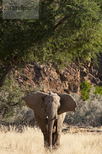 Namibia  Afrika