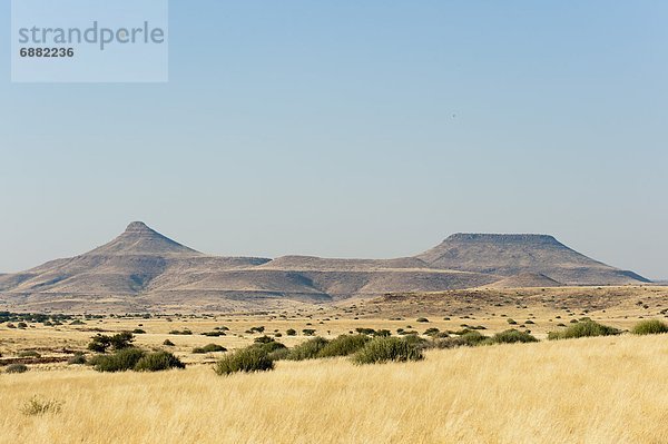 Namibia  Afrika  Damaraland