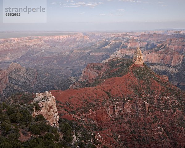 Vereinigte Staaten von Amerika  USA  Nordamerika  Arizona  Grand Canyon Nationalpark  Berg  zeigen  UNESCO-Welterbe  Abenddämmerung  North Rim