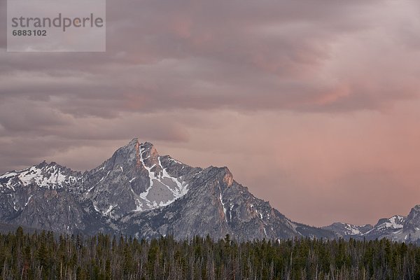 Vereinigte Staaten von Amerika  USA  Berg  Wolke  Sonnenuntergang  über  Nordamerika  pink  Idaho  Sawtooth National Recreation Area