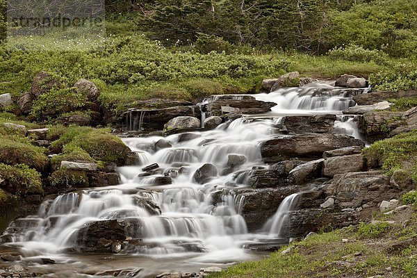 Vereinigte Staaten von Amerika  USA  Nordamerika  Glacier Nationalpark