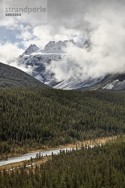 zwischen  inmitten  mitten  Berg  bedecken  Wolke  über  Wald  Nordamerika  immergrünes Gehölz  Banff Nationalpark  UNESCO-Welterbe  Alberta  Kanada  Schnee