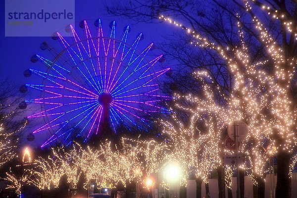 Baum  Beleuchtung  Licht  Weihnachten  Riesenrad  rad