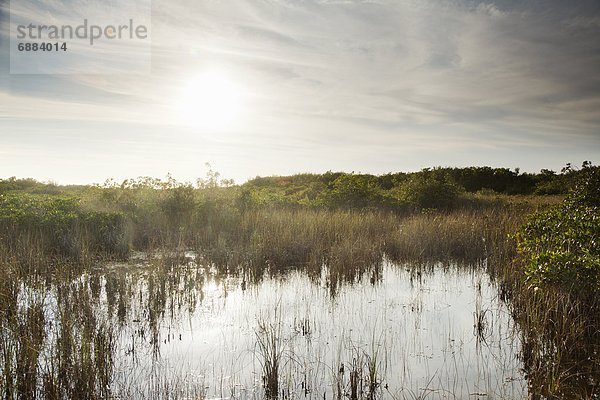 Vereinigte Staaten von Amerika  USA  Nordamerika  UNESCO-Welterbe  Everglades Nationalpark  Florida
