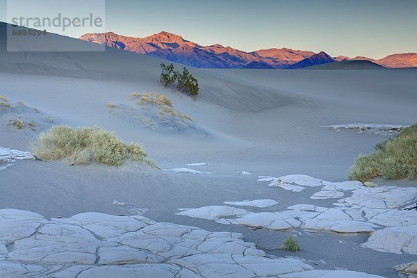 Vereinigte Staaten von Amerika  USA  Sand  Nordamerika  flach  Düne  Death Valley Nationalpark  Kalifornien  getrocknet  Schlamm