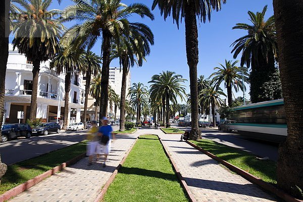 Nordafrika  Baum  Straße  Menschenreihe  typisch  Afrika  Casablanca  Ortsteil  Marokko  schlau  breit