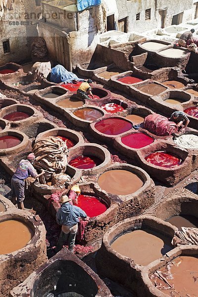 Nordafrika  Fès  Fez  verstecken  Tradition  sonnenbaden  sonnen  Tier  färben  Afrika  Fes  Leder  Marokko  alt  Gerberei