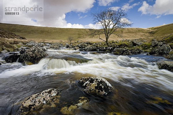 Europa  Großbritannien  fließen  Fluss  Devon  England