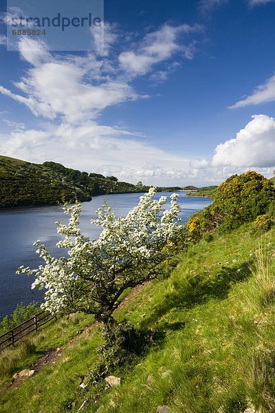 Europa  Großbritannien  Devon  England