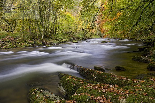 Stufe  nahe  Farbaufnahme  Farbe  nebeneinander  neben  Seite an Seite  Europa  Großbritannien  Fluss  Herbst  England  Somerset