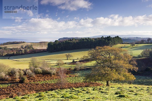 Europa  Großbritannien  England  Somerset