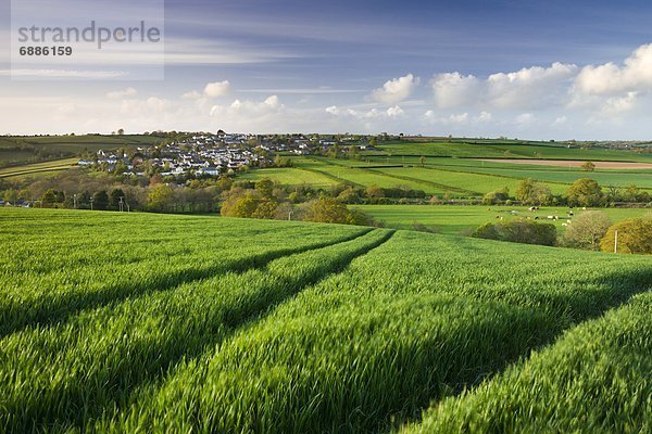 rollen  Europa  Ländliches Motiv  ländliche Motive  Großbritannien  Dorf  umgeben  Mittelpunkt  Devon  England