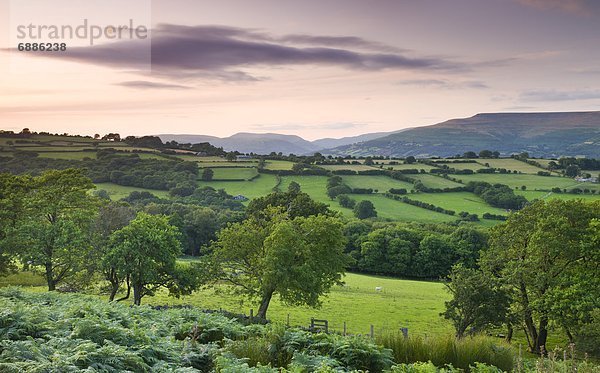 Europa  Großbritannien  Brecon Beacons National Park  Powys  Wales