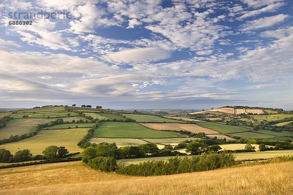 rollen  Europa  Schönheit  Ländliches Motiv  ländliche Motive  Großbritannien  Himmel  unterhalb  Devon  England