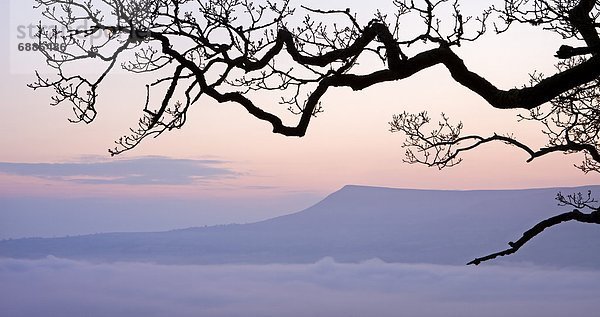 Europa  Berg  Großbritannien  über  aufwärts  Dunst  füllen  füllt  füllend  Tal  Morgendämmerung  Brecon Beacons National Park  Powys  Wales