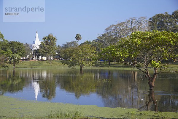 UNESCO-Welterbe  Anuradhapura  Asien  Sri Lanka