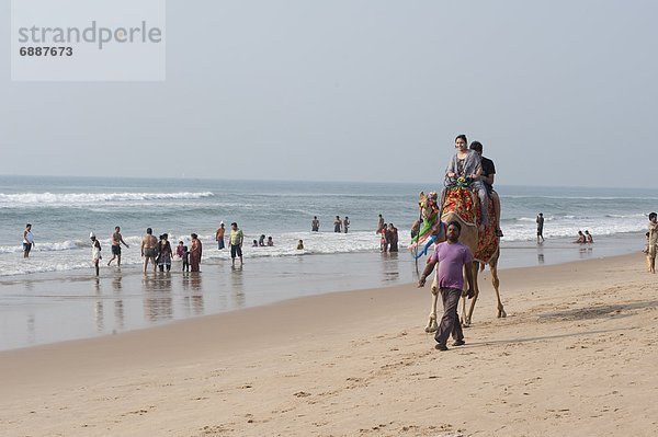 nehmen  Strand  fahren  jung  vorwärts  Asien  Kamel  Indien  Orissa  Puri  mitfahren
