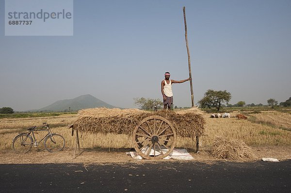 Stützrad Mann Feld sammeln Reis Reiskorn Stroh Asien Indien