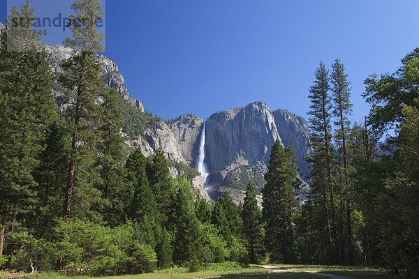 Yosemite Waterfall