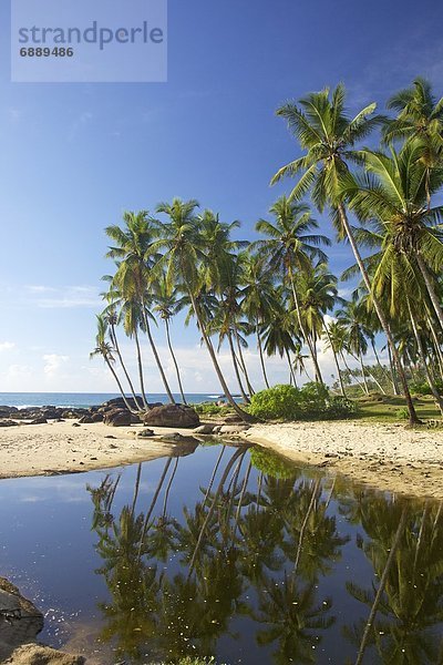 Strand  Ansicht  Natürlichkeit  Asien  Paradies  Sri Lanka