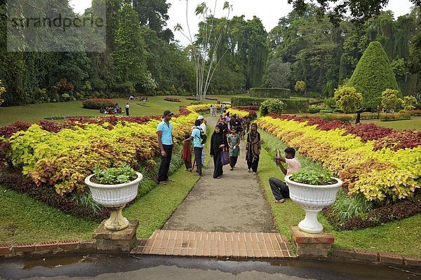 Botanischer Garten Botanische Monarchie Gast Asien Kandy Sri Lanka