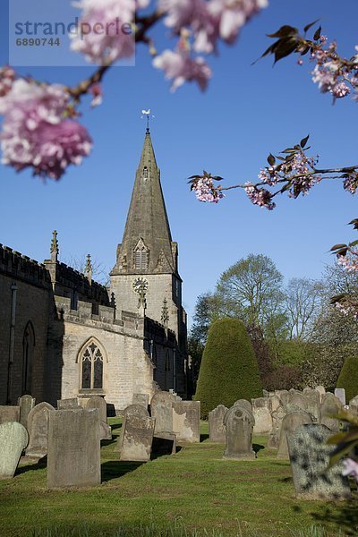 Europa  Großbritannien  Kirsche  Blüte  Kirche  Derbyshire  England