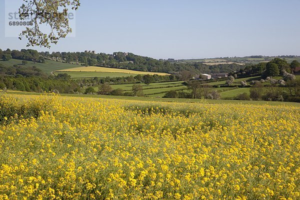 Europa  Großbritannien  über  Halle  Feld  Ansicht  Derbyshire  England