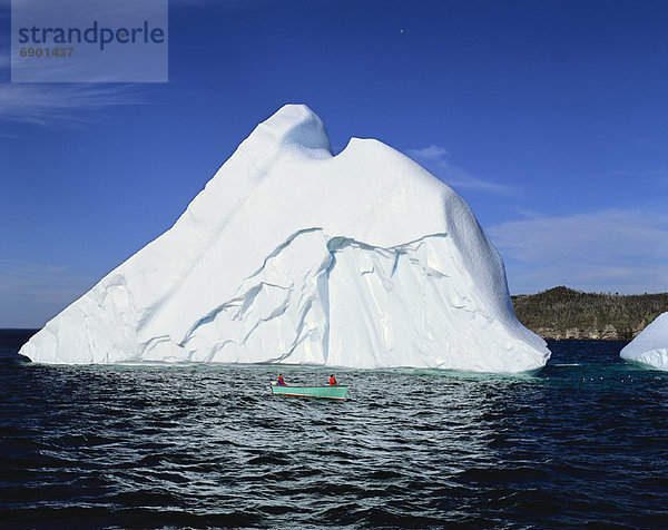 Eisberg  Labrador  Neufundland  Witless Bay  Avalon  Kanada  Halbinsel