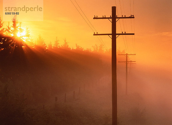 nahe  Sonnenuntergang  Silhouette  Telefon  Alberta  Kanada