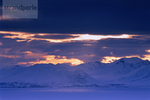 Bylot Island Pond Inlet  Nunavut Canada