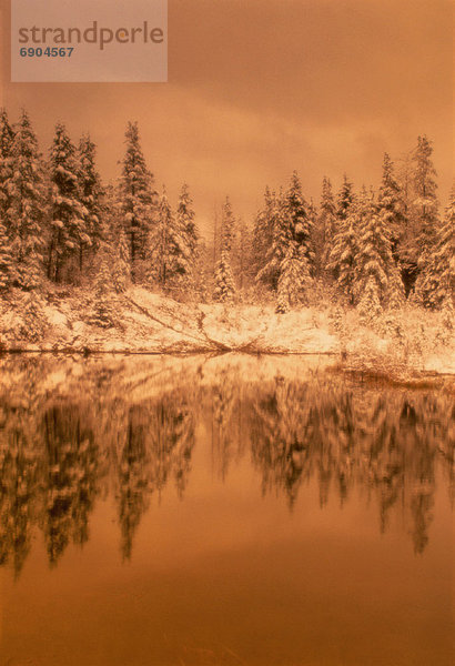 nahe  Frische  Baum  See  Schneeflocke  Alberta  Kanada