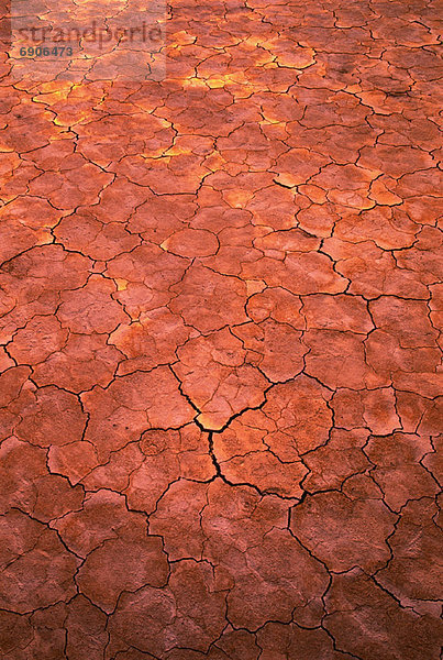 Erde  Wüste  Close-up  close-ups  close up  close ups  zerreißen