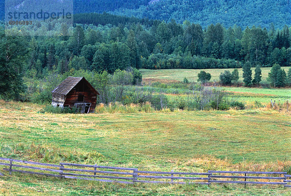 Hütte  Baum  Feld  verlassen  britisch  Kanada