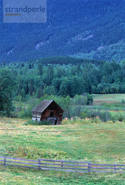 Hütte  Baum  Feld  verlassen  britisch  Kanada